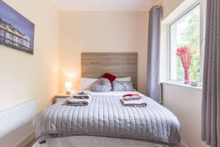 Laurel Lodge Cill Airne Kültér fotó